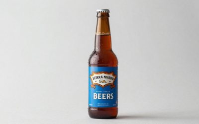 Sierra Nevada Beers Ranked: Best Picks Explained